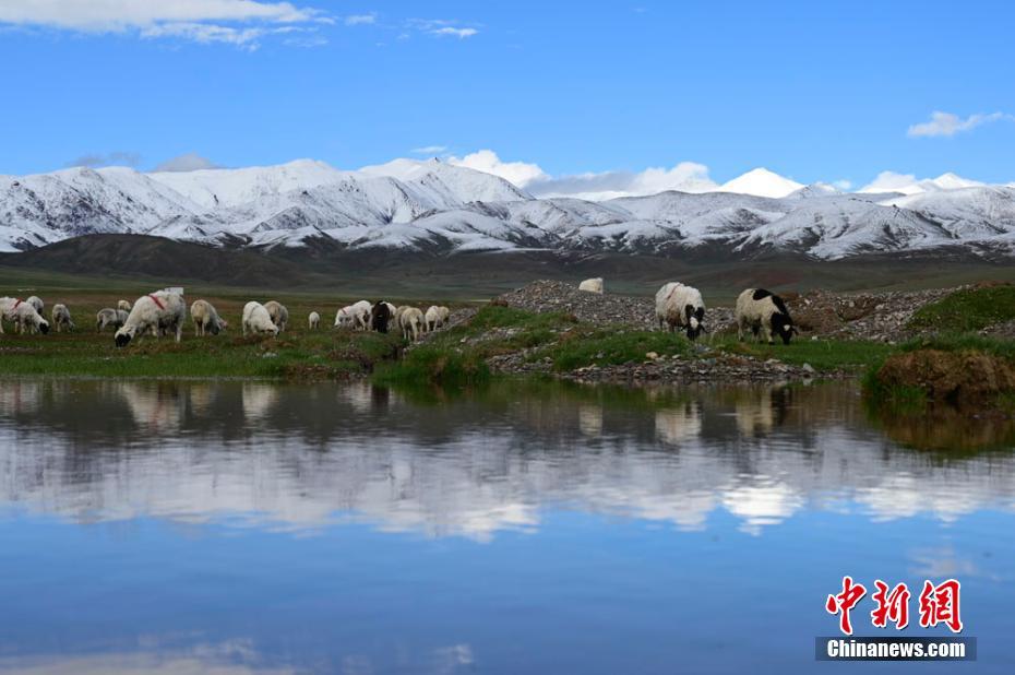 四季の風景を同じフレームに　甘粛省塩池湾国家級自然保護区
