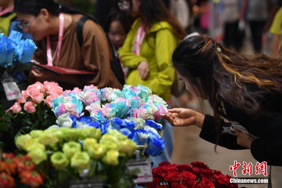 会場を埋め尽くす色鮮やかな花々　第20回中国昆明国際花卉展開幕