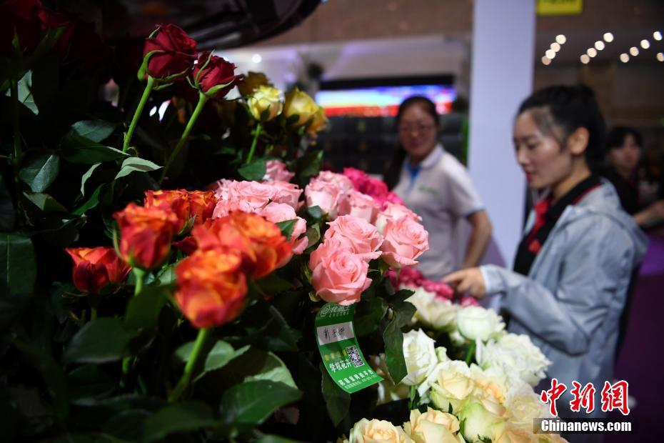会場を埋め尽くす色鮮やかな花々　第20回中国昆明国際花卉展開幕