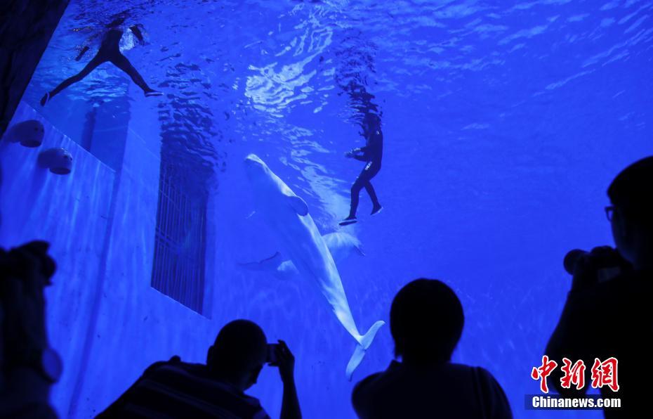 世界で海抜が最も高い総合大型水族館が間もなくオープン