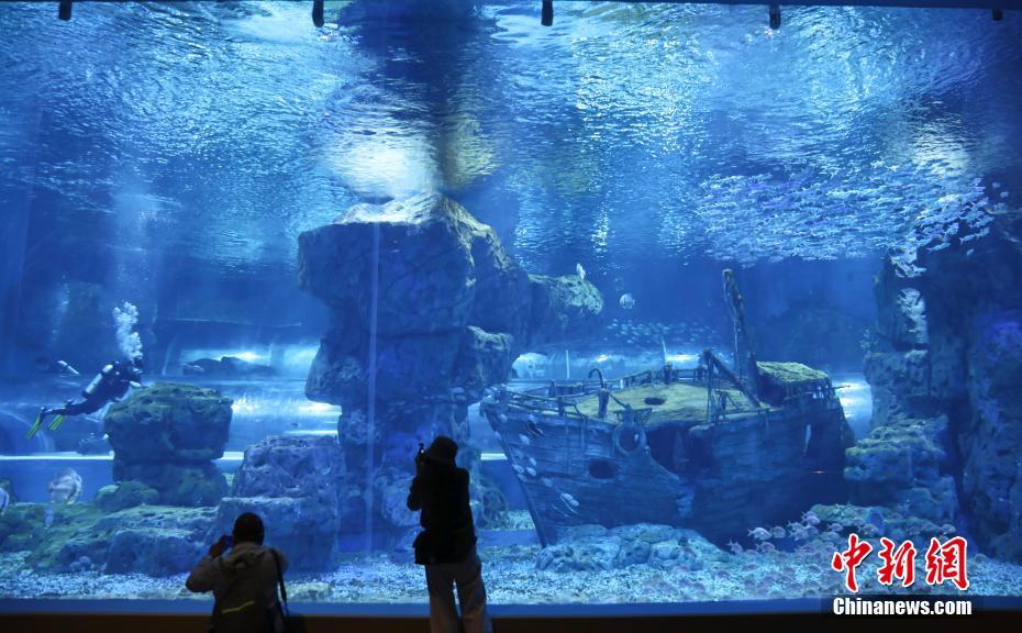 世界で海抜が最も高い総合大型水族館が間もなくオープン