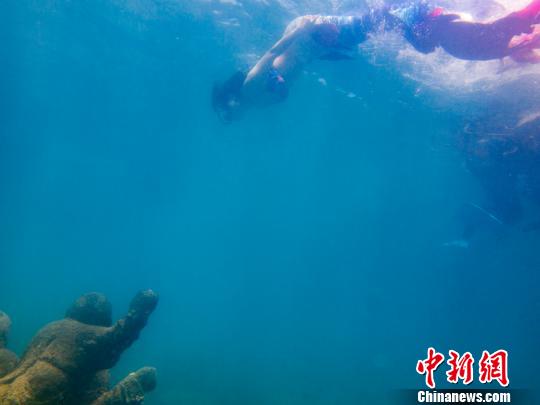 青く澄んだ海を泳ぐ美しい「人魚」たち　海南省
