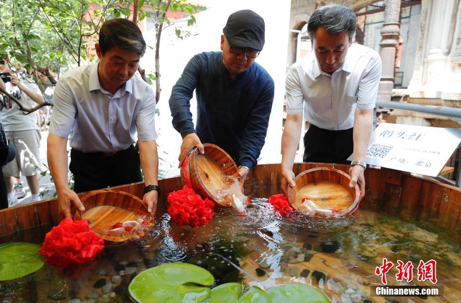 ゆらゆらと泳ぐ金魚楽しむ　北京の故宮で金魚のテーマ展