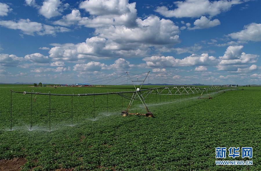 節水灌漑により現代農業の発展を促進　河北省