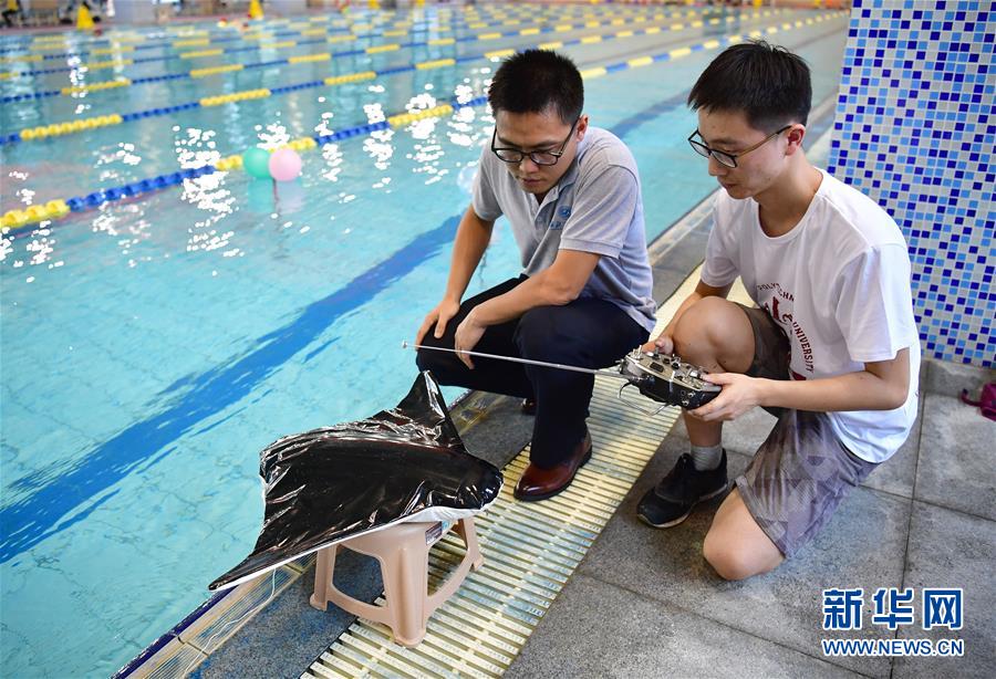 中国が新型の自律型潜水機を開発、オニイトマキエイの動きを模倣