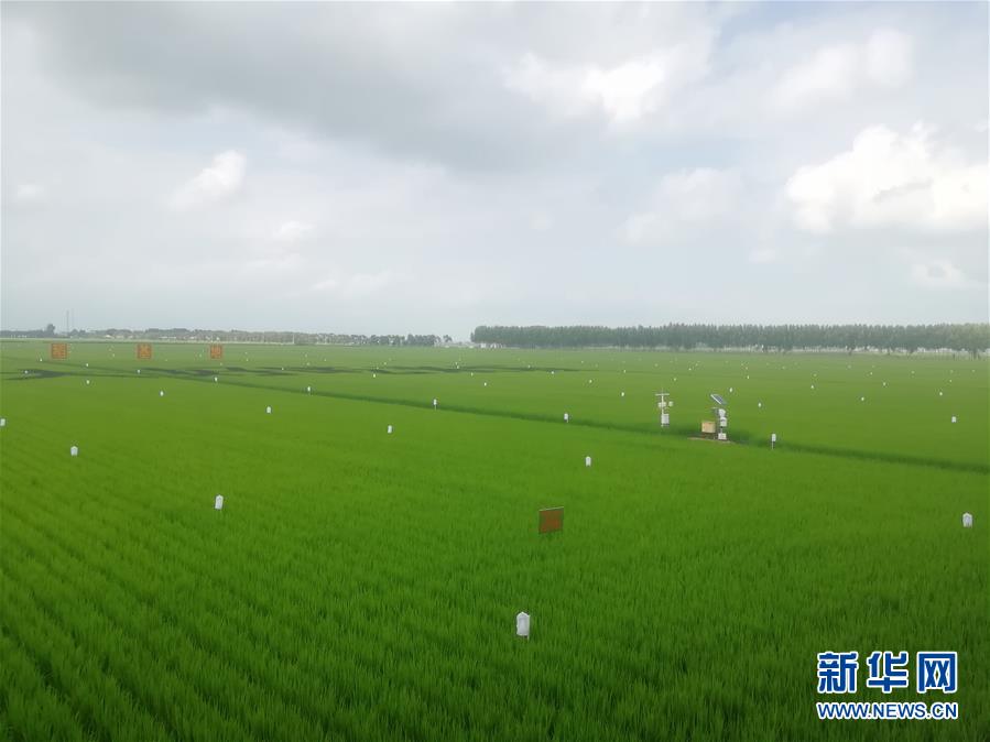黒竜江省、農業に対する気象サービス体系を革新