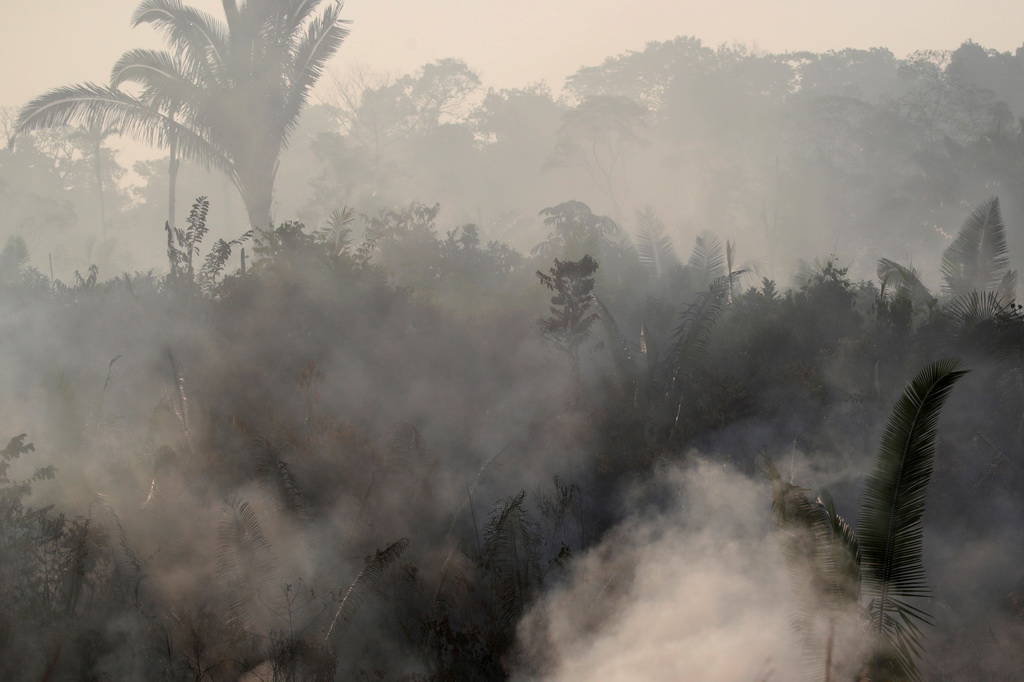 アマゾンの熱帯雨林がなくなったら世界はどうなる？