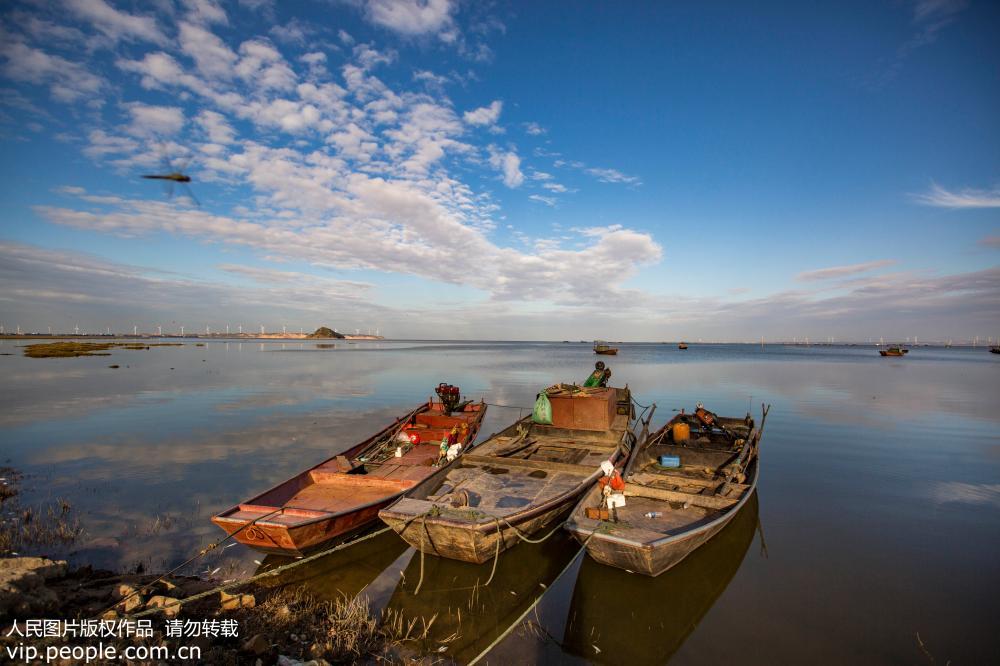 中国最大の淡水湖で10年間の禁漁実施へ　江西省