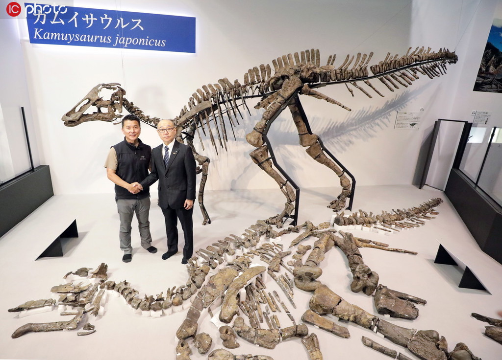 日本の研究者が発見した新種の恐竜に「竜の神」を意味する学名