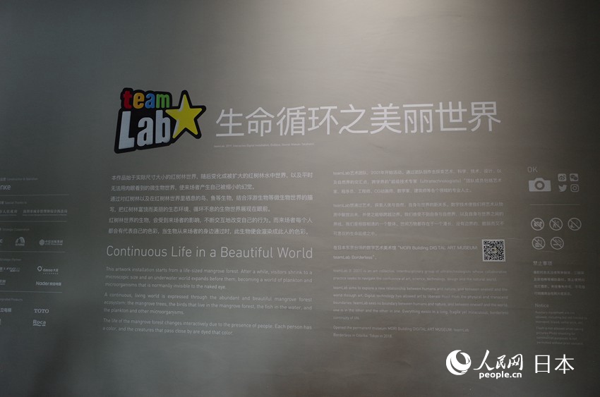 マングローブから始まる生命の育み　チームラボIN北京世界園芸博覧会