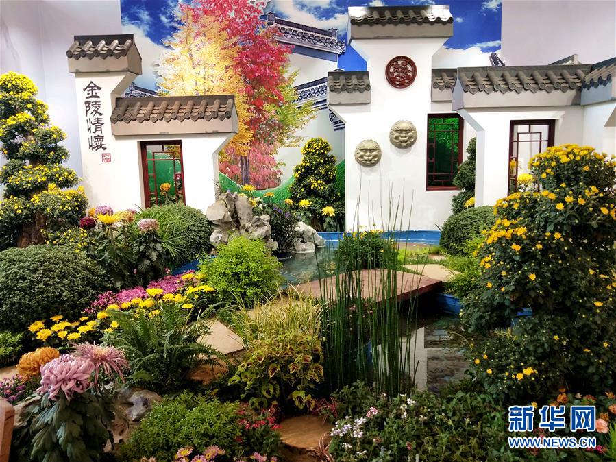 国内外の菊を使った展示作品が北京世界園芸博覧会に登場