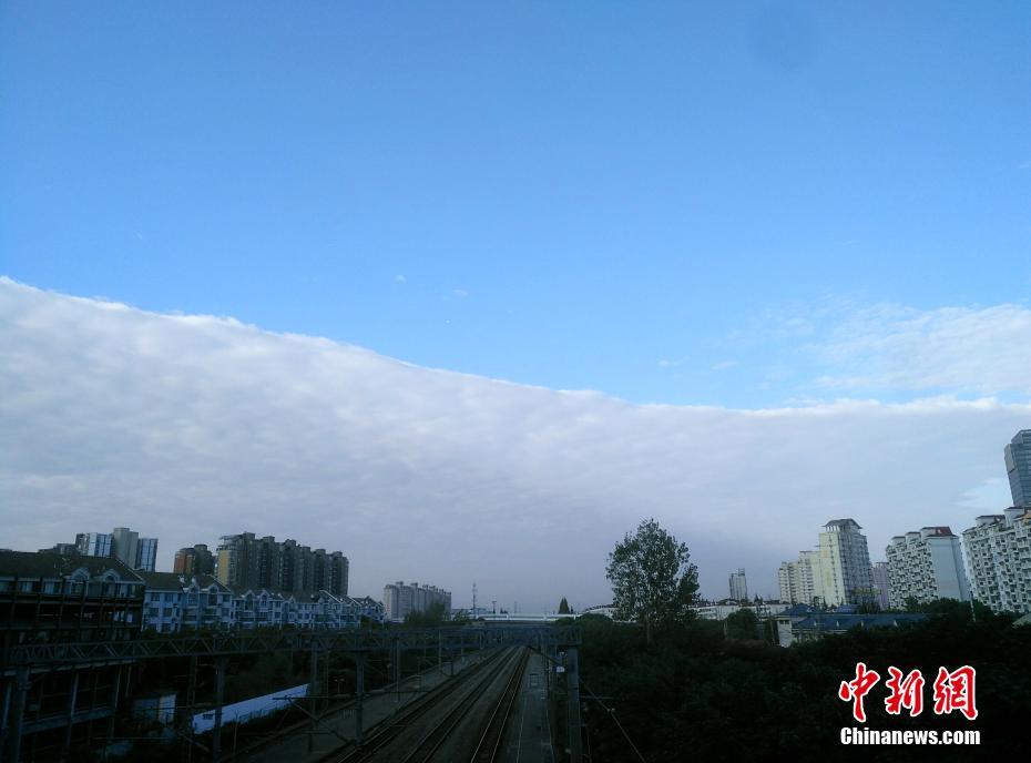 青空と雲ですっぱり2分割された上海の空（写真・王亜東）。 