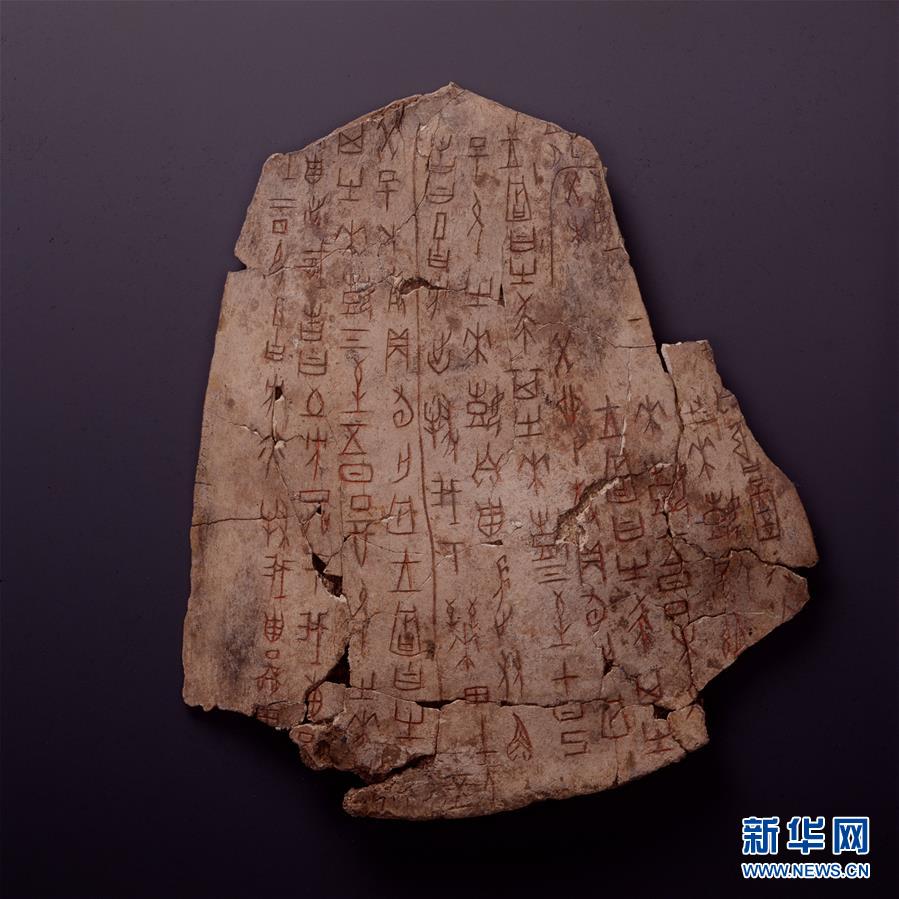 国家博物館が22日から初の大規模な館蔵甲骨展　北京