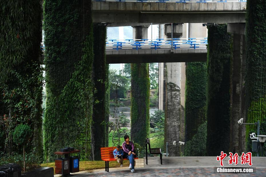 立体交差橋にびっしり茂るツタ植物　まるで森の小道 重慶市