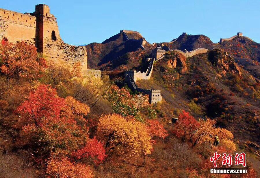 秋の金山嶺長城に広がる一面の綾錦　北京