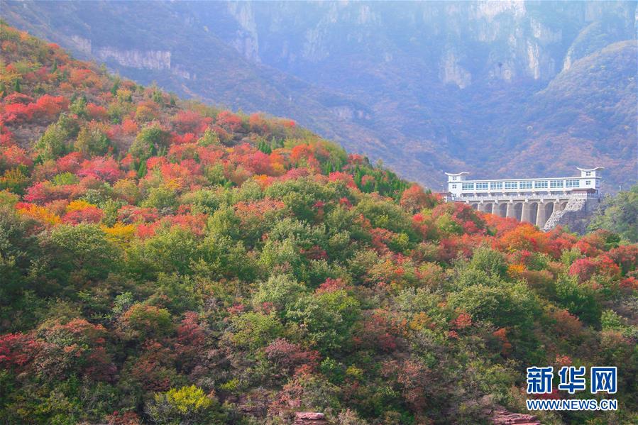 美しく色づく秋の雲台山　河南省