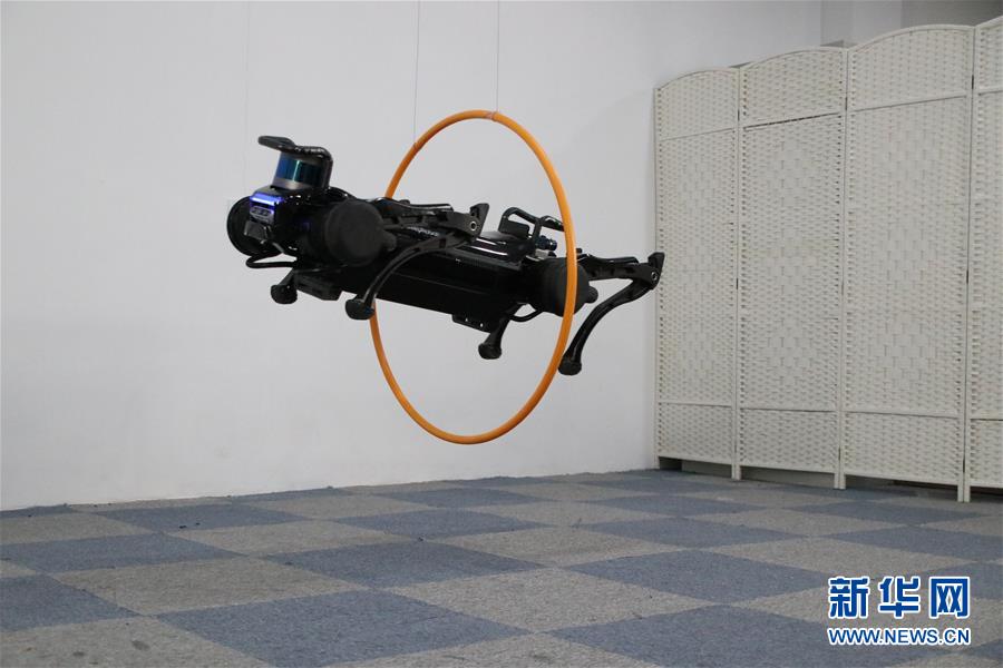 中国の新世代四本足ロボット「絶影」、スムーズな動作を実現