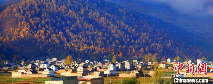 秋深まり色づく農村の田園風景　甘粛省