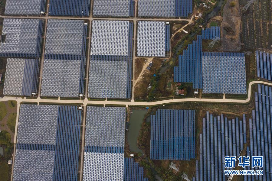 浙江省長興県、漁・農業と太陽光発電の相互補完で農村の振興促進