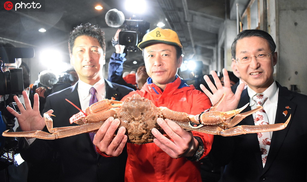 ギネス世界新記録！鳥取県産の松葉ガニ1匹に500万円の高値