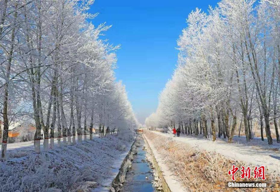 11月10日早朝、内モンゴル自治区フルンボイル・アルグン市で見られた霧氷の風景（撮影・李増根）。 