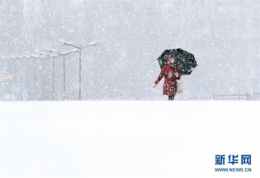 大雪がこんこんと降り積もる長春　吉林省