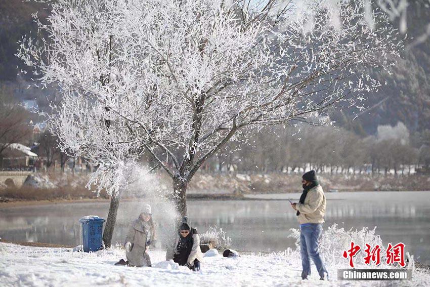11月20日、「霧氷の都」と呼ばれている吉林市松花江畔で、今冬初の霧氷が観測され、大勢の市民や観光客が足を運び、記念写真を撮影する様子（撮影・石洪宇）。