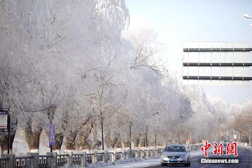 「霧氷の都」吉林市で今年初の霧氷を観測　吉林省