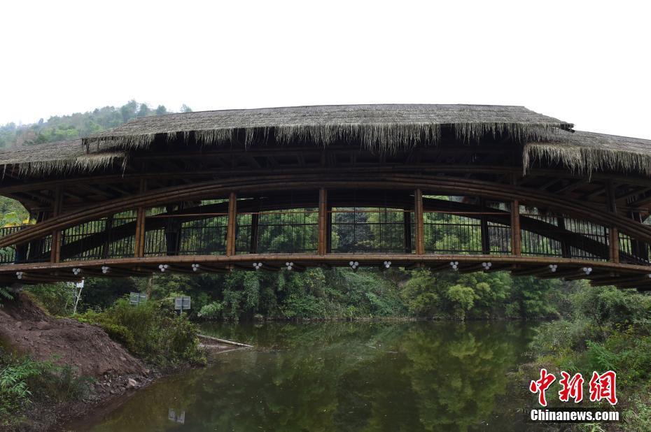 重慶の孟宗竹716本を用いた橋が建築界の「アカデミー賞」受賞