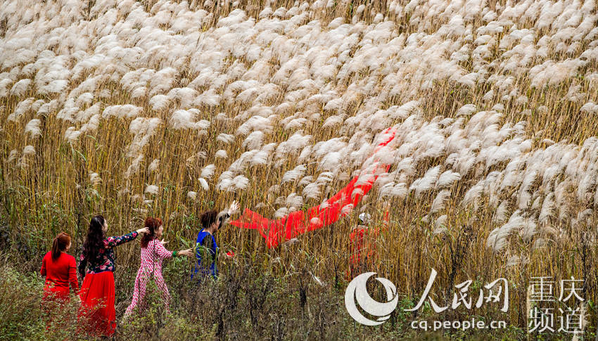 重慶南川で観光客を迎える石漠の「花」