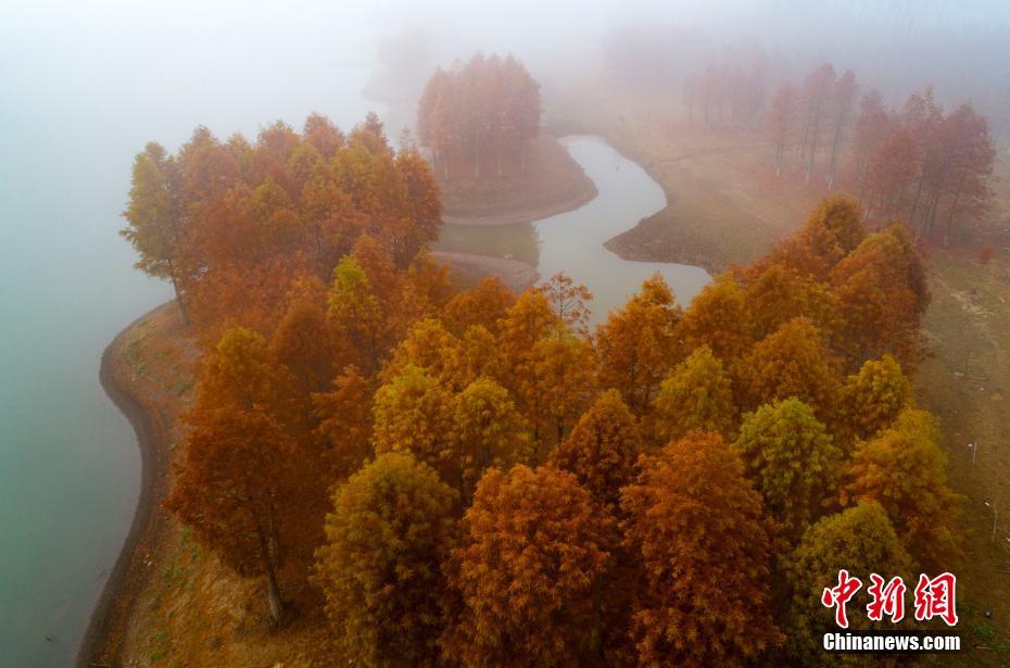 霧と紅葉の「競演」で絶景広がる江蘇省天泉湖景勝地
