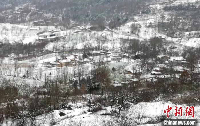 甘粛省で降雪、天地が白一色に　まるで夢の森