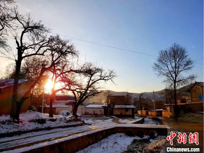 甘粛省で降雪、天地が白一色に　まるで夢の森