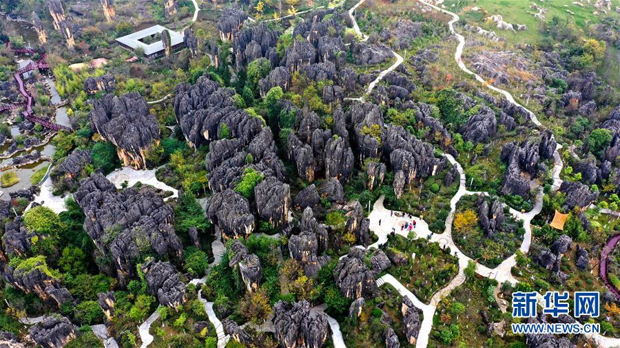 黒い石が居並び奇観広がる雲南省の石林