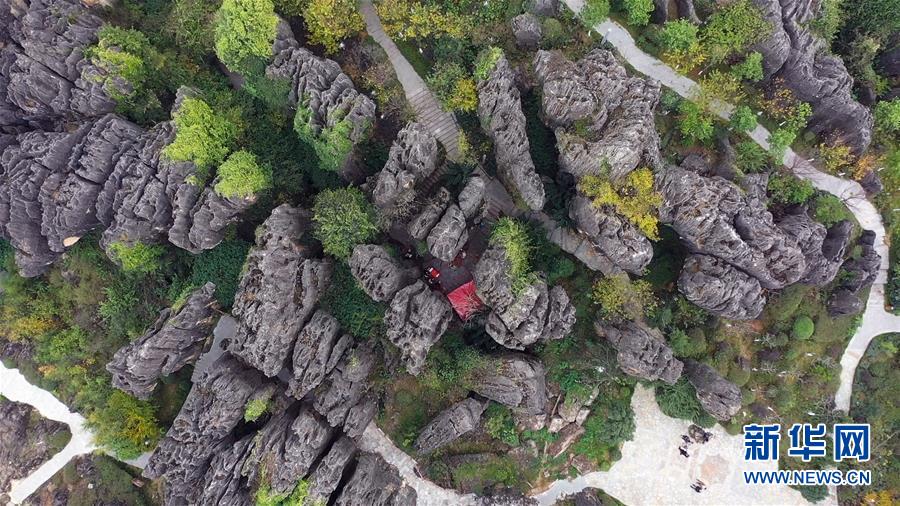 黒い石が居並び奇観広がる雲南省の石林