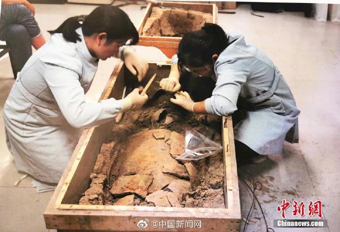 中国最古の絹織物、河南仰韶文化遺跡で発見