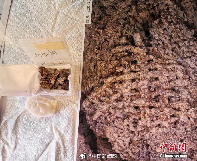 中国最古の絹織物、河南仰韶文化遺跡で発見