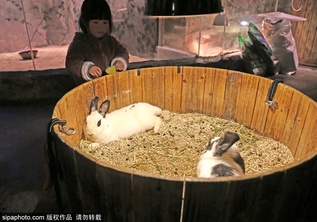 「ショッピングセンター動物園」が親子連れに人気　上海