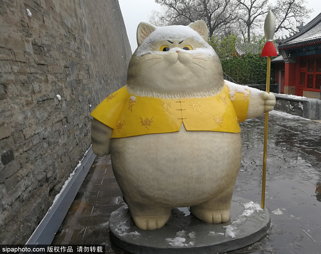 雪が降った後の北京の故宮　雪をかぶったキュートな「御猫」たち