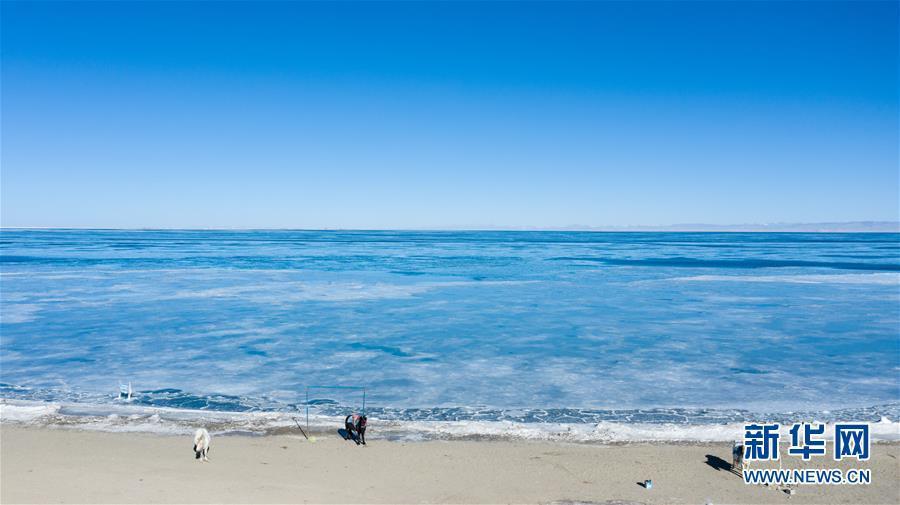 青海湖が結氷期に　昨年より7日遅く