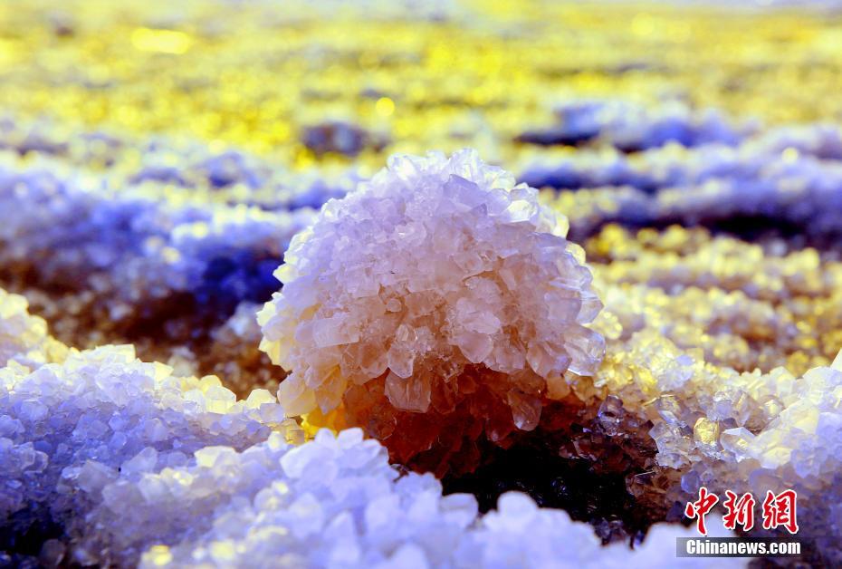 冬の塩湖に咲く「硝花」　山西省運城市