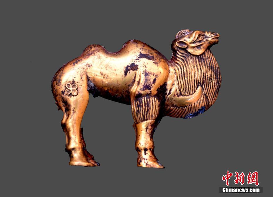 秦の始皇帝の陵墓西側から大型古墳発見　珍しい金のラクダも出土