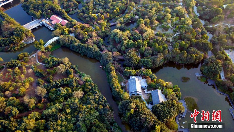 空から見た広州海珠国家湿地公園　広東省
