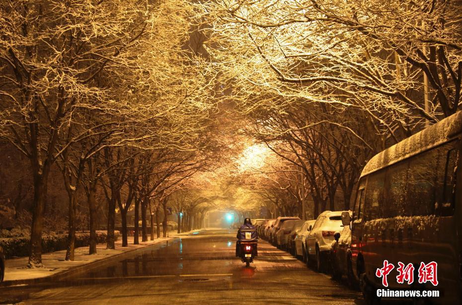 大雪は豊年の兆し！北京で2020年の初雪