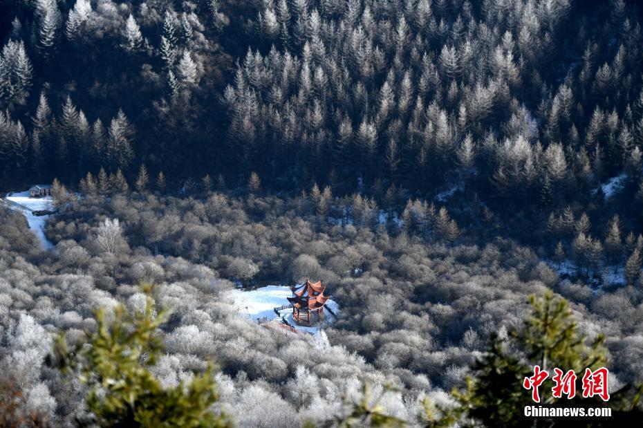 息を呑むほどの美しさ　甘粛渭源の霧氷