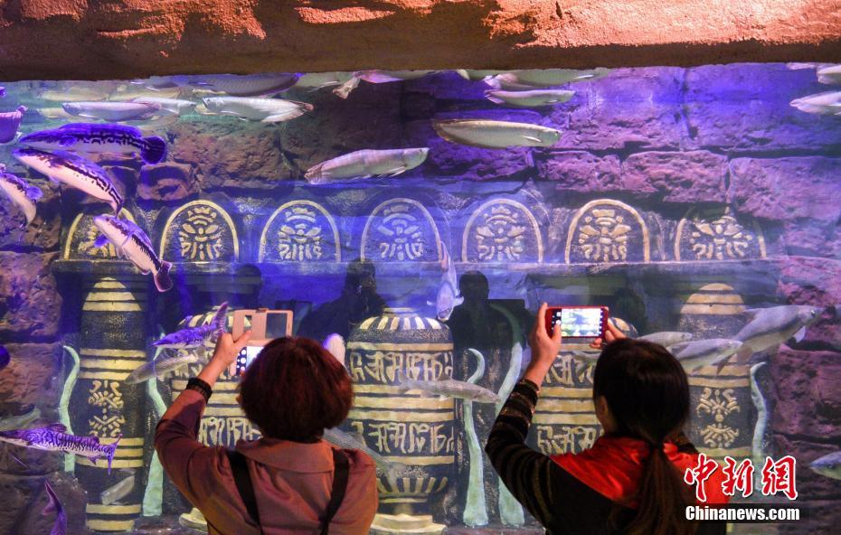 中国で初のメコン川流域淡水魚をテーマとする水族館がオープン