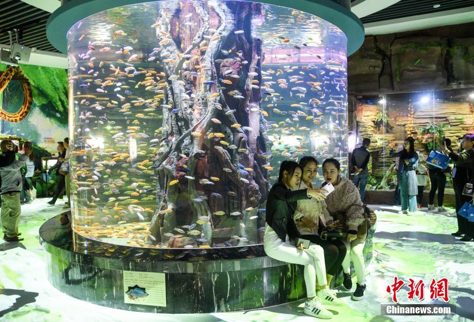 中国で初のメコン川流域淡水魚をテーマとする水族館がオープン