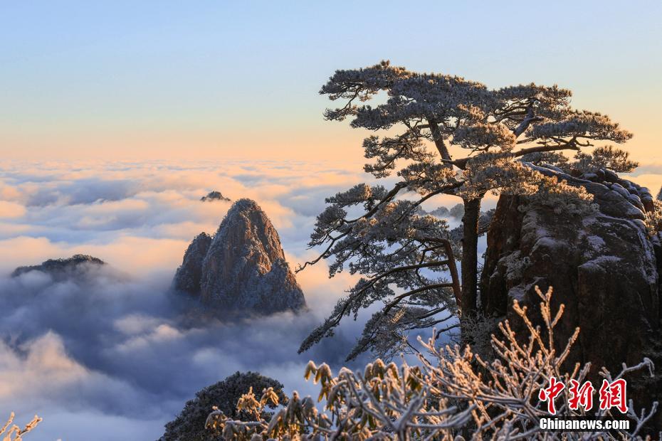 霧氷と雲海の「競演」で仙境のような絶景となった黄山(1月12日撮影・段雪峰)。