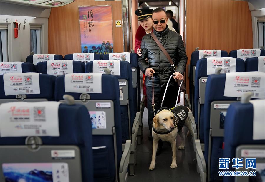 盲導犬が高速鉄道に同乗、目の不自由な乗客も安心　河南省