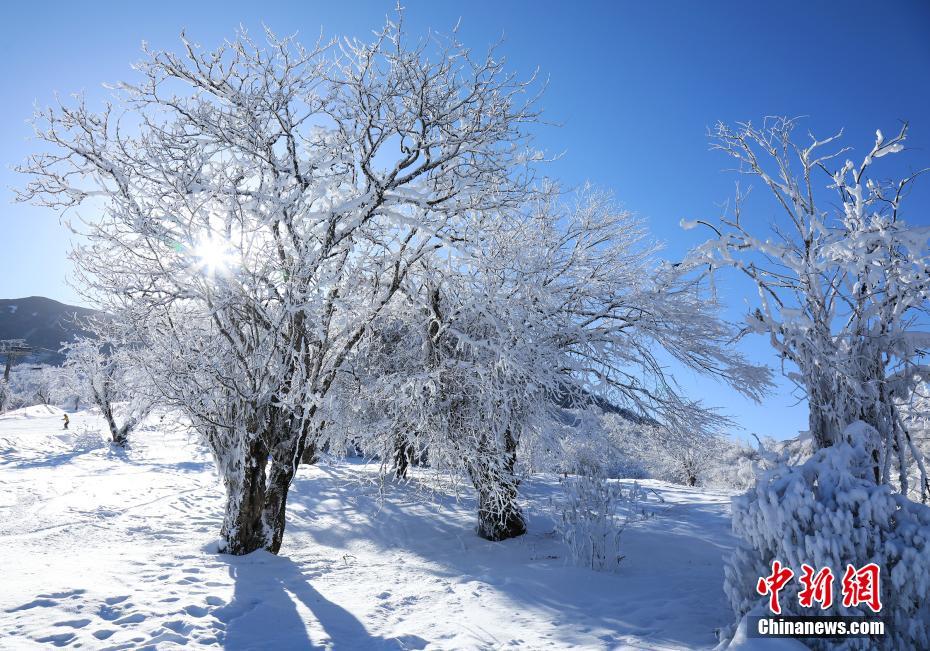 青空に映える仙境のような雪景色　四川省茂県九鼎山